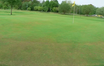 Fotogalerie Amagro GREEN 1 POŠKOZENÝ