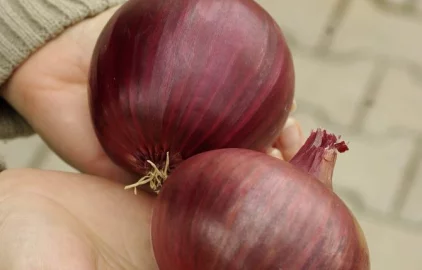 Fotogalerie Amagro GRENADA 2 S LIGNOHUMÁTEM