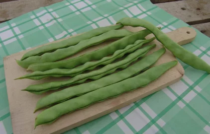 Fotogalerie Amagro LIGNO AKTIVATOR