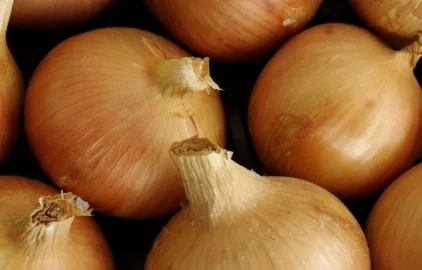 Fotogalerie Amagro LIGNO AKTIVATOR