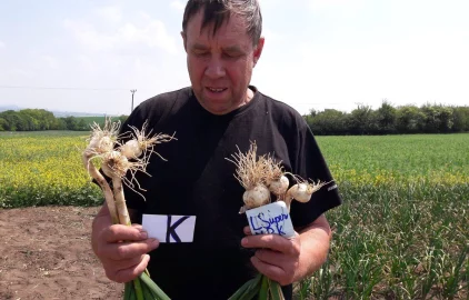 Fotogalerie Amagro LIGNO SUPER NPK ČESKÝ ČESNEK KOŘENY