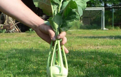 Fotogalerie Amagro LIGNOHUMÁT