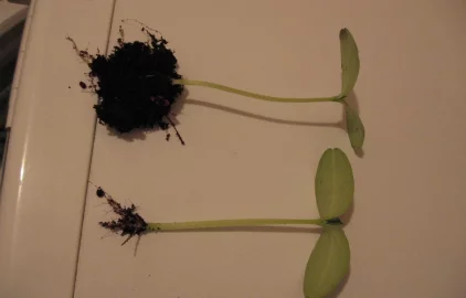 Fotogalerie Amagro LIGNOHUMÁT B