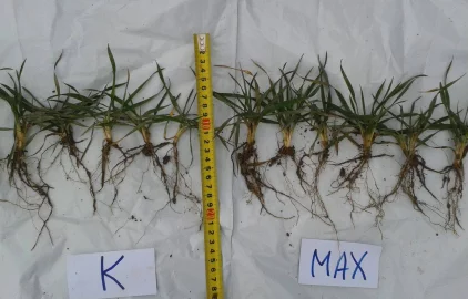 Fotogalerie Amagro LIGNOHUMÁT MAX