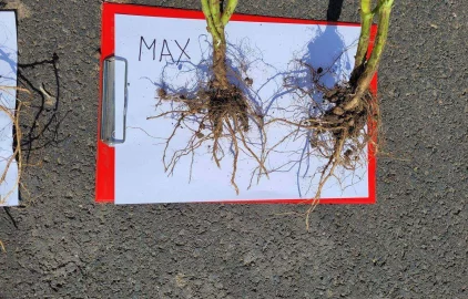 Fotogalerie Amagro LIGNOHUMÁT MAX SÓJA