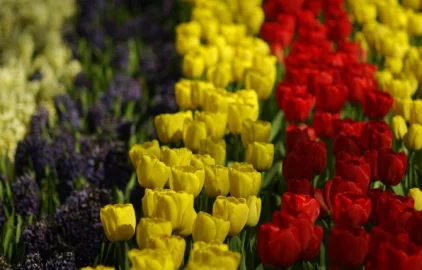 Fotogalerie Amagro LIGNOHUMÁT MAX