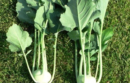 Fotogalerie Amagro LIGNOHUMÁT