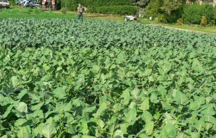 Fotogalerie Amagro LIGNOHUMÁT