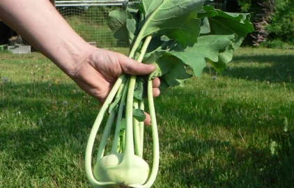 Fotogalerie Amagro LIGNOHUMÁT