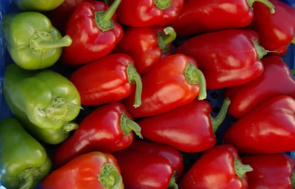 Fotogalerie Amagro LIGNOHUMÁT