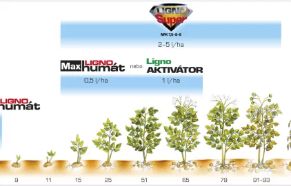 Fotogalerie Amagro TERMÍNY BRAMBOR