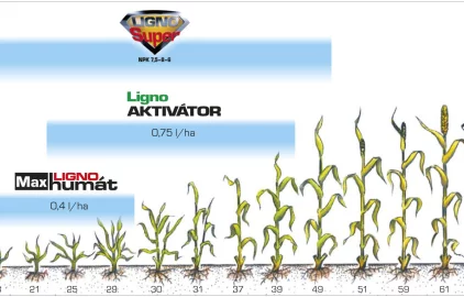 Fotogalerie Amagro TERMÍNY OBILNINY