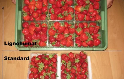 Fotogalerie Amagro Jahody s Lignohumátem