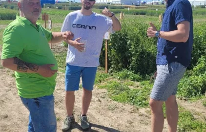 Fotogalerie Amagro 18.6.2024 - Výstava Naše Pole ve Zbýšově u Čáslavi, pokusné demonstrační políčko