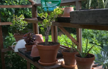 Proc lignohumat Cenová dostupnost