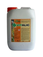 VITALIC 