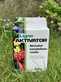 Ligno AKTIVÁTOR prášek